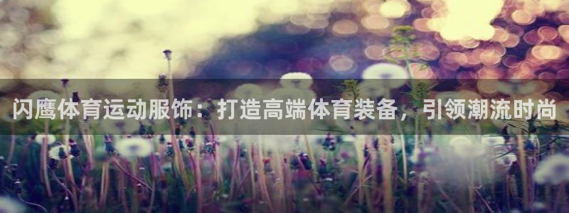 沐鸣集团官网：闪鹰体育运动服饰：打造高端体育装备，引领潮流时尚