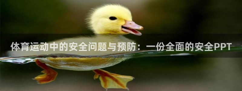 沐鸣体育游戏：体育运动中的安全问题与预防：一份全面的安全PPT