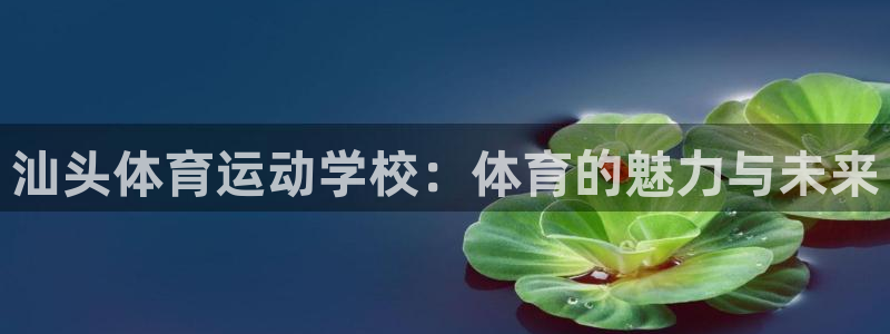 沐鸣f平台注册：汕头体育运动学校：体育的魅力与未来