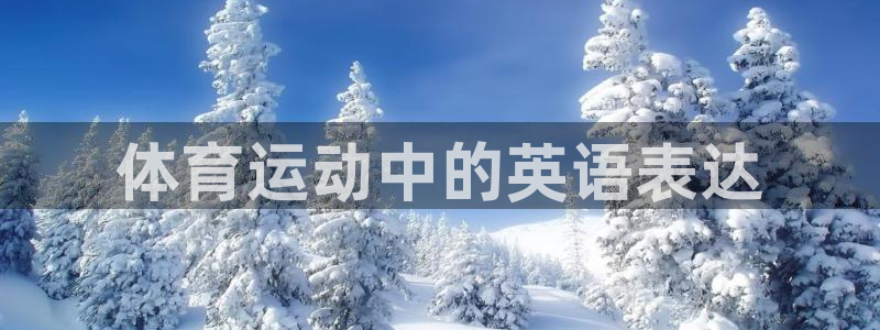 沐鸣2官网注册：体育运动中的英语表达