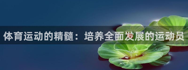 沐鸣集团股票：体育运动的精髓：培养全面发展的运动员