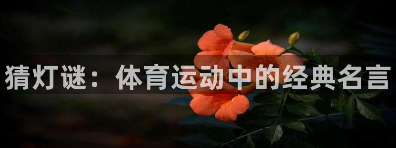 沐鸣平台：猜灯谜：体育运动中的经典名言