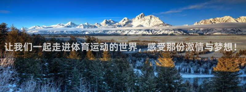 沐鸣f凯捷注册：让我们一起走进体育运动的世界，感受那份激情与梦想！