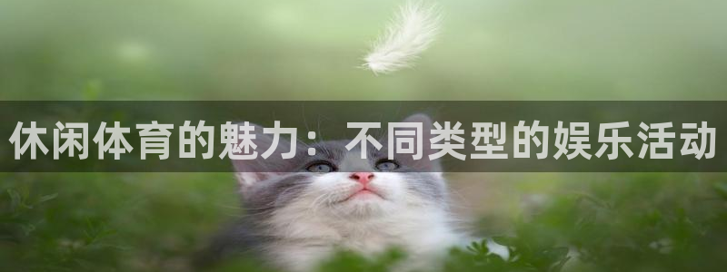 沐鸣4代理：休闲体育的魅力：不同类型的娱乐活动
