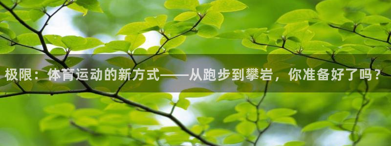 沐鸣2平台：极限：体育运动的新方式——从跑步到攀岩，你准备好了吗？