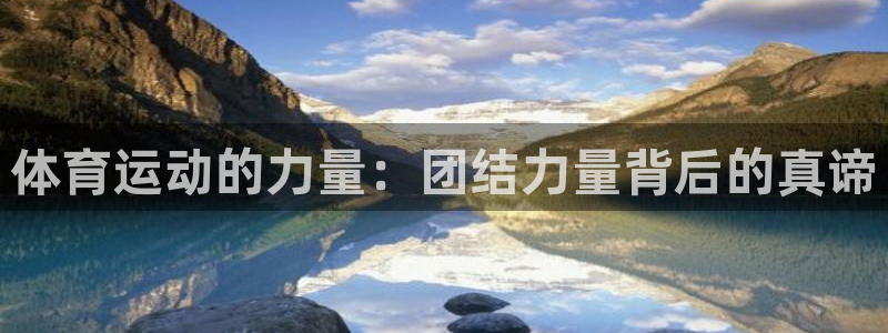 沐鸣招商：体育运动的力量：团结力量背后的真谛