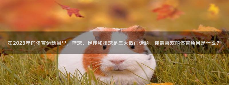 沐鸣体育在线注册：在2023年的体育运动圈里，篮球、足球和排球是三大热门话题。你