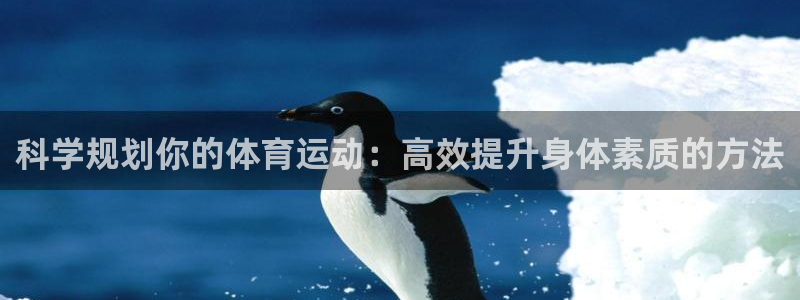 沐鸣2招商：科学规划你的体育运动：高效提升身体素质的方法
