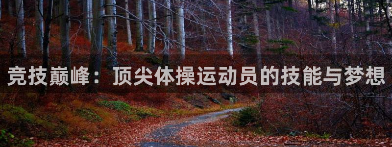 沐鸣2注册：竞技巅峰：顶尖体操运动员的技能与梦想