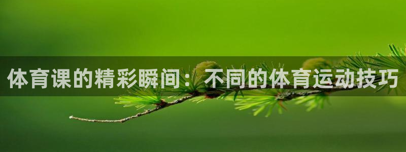 沐鸣体育老板是谁：体育课的精彩瞬间：不同的体育运动技巧