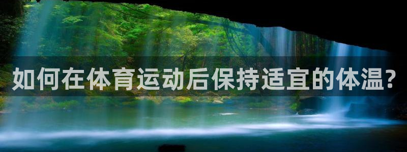 上海沐鸣汽车电子有限公司