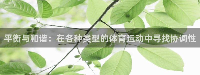 沐鸣平台开户链接：平衡与和谐：在各种类型的体育运动中寻找协调性