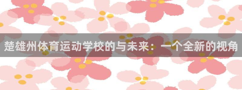 上海沐鸣汽车电子有限公司：楚雄州体育运动学校的与未来：一个全新的视角
