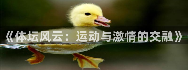 沐鸣注册：《体坛风云：运动与激情的交融》