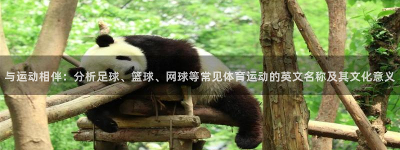 沐鸣科技：与运动相伴：分析足球、篮球、网球等常见体育运动的英文名称及其文化意义