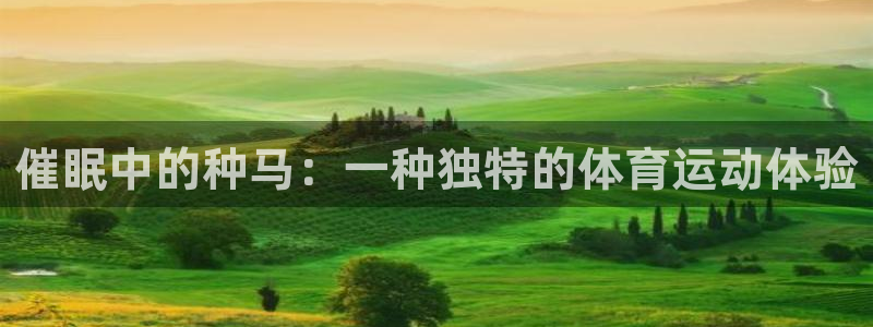 沐鸣体育合法嘛：催眠中的种马：一种独特的体育运动体验